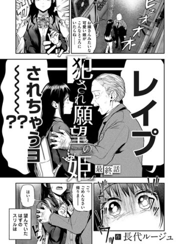 【エロ漫画raw】犯●れ願望の姫（単話）(b257bdmmg01367)
