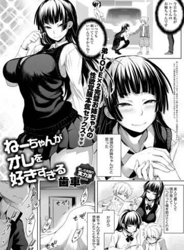 【エロ漫画raw】ねーちゃんがオレを好きすぎる（単話）(b399agoar01459)